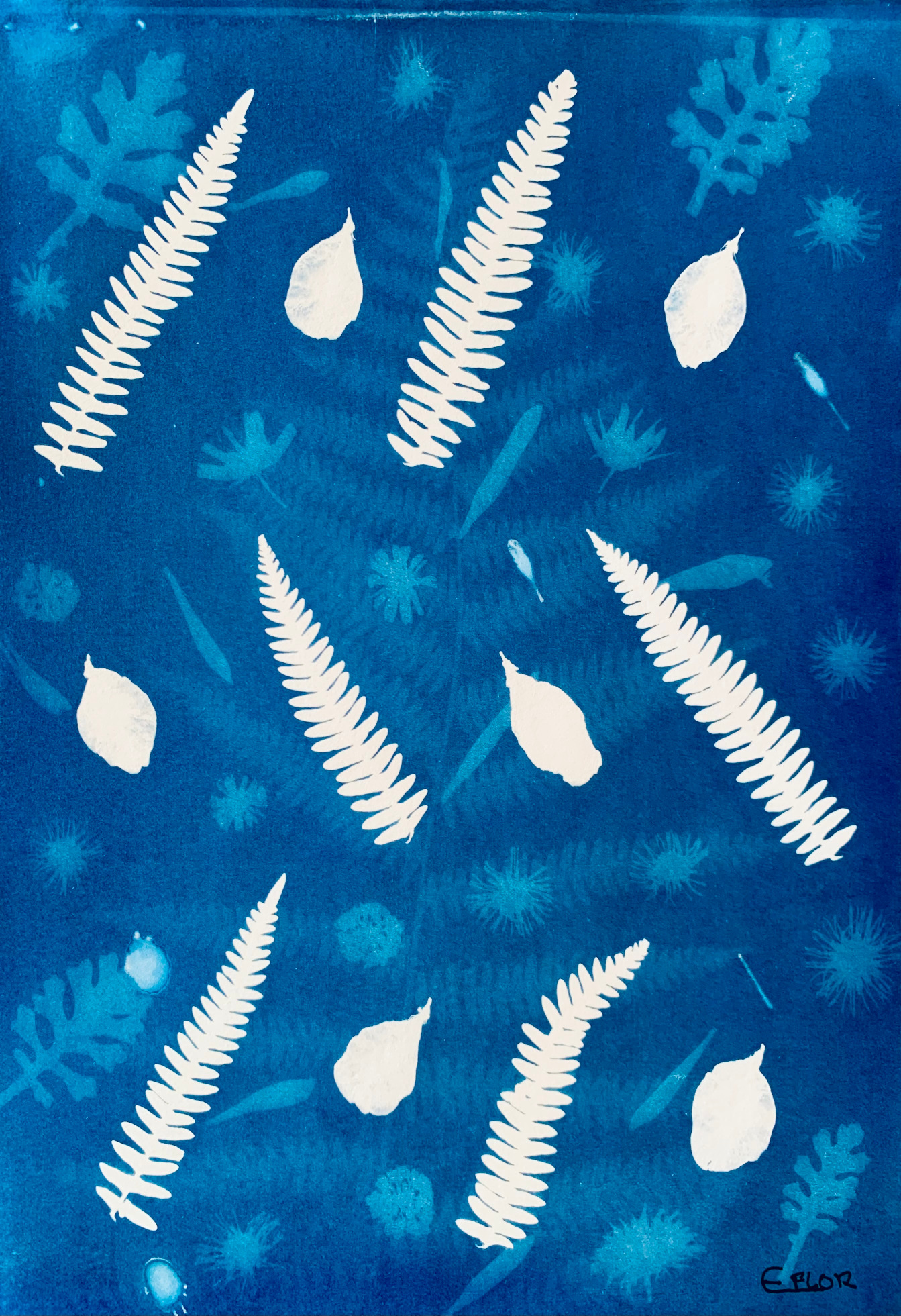 Composição botânica