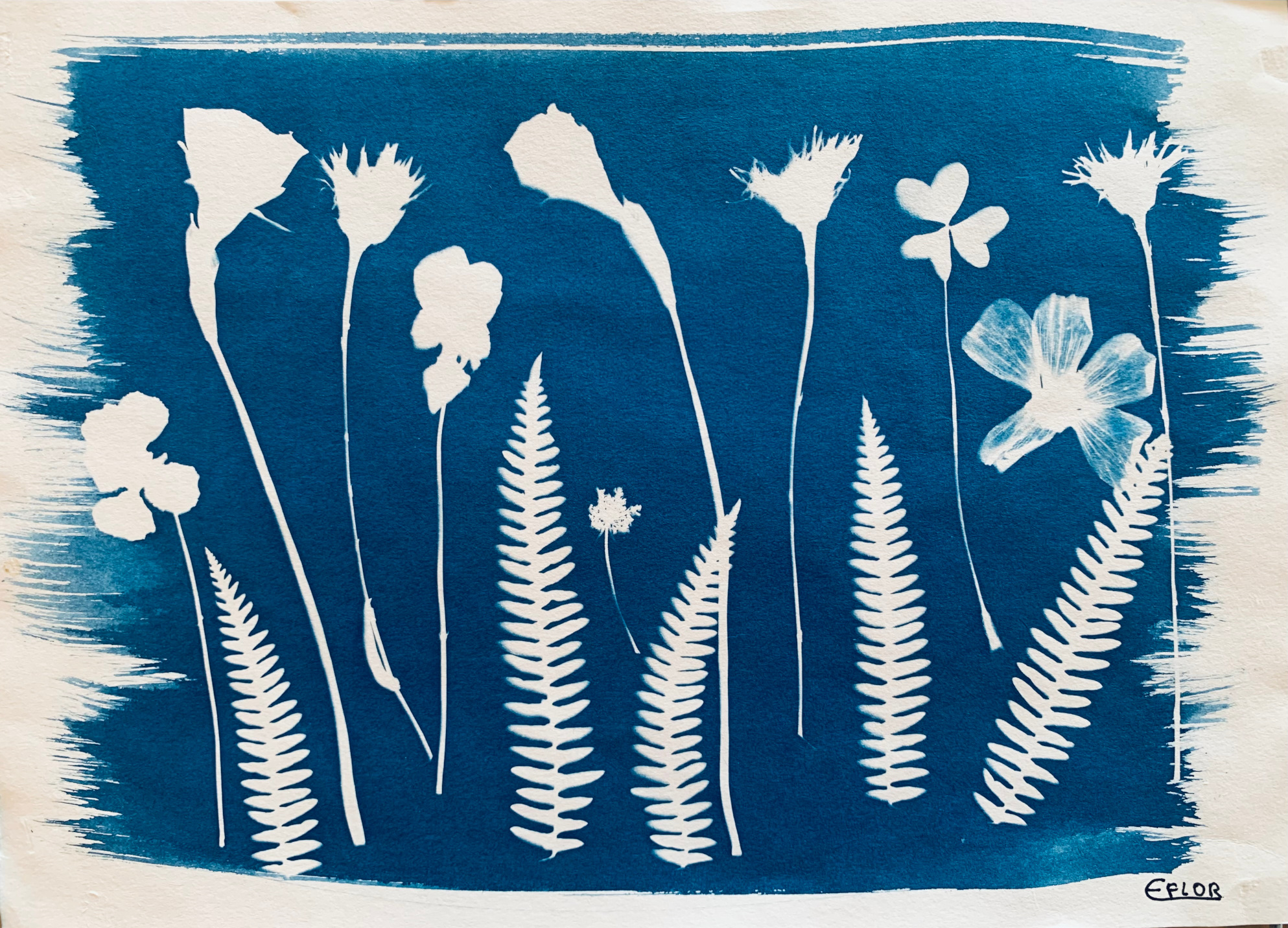 Composição Botânica