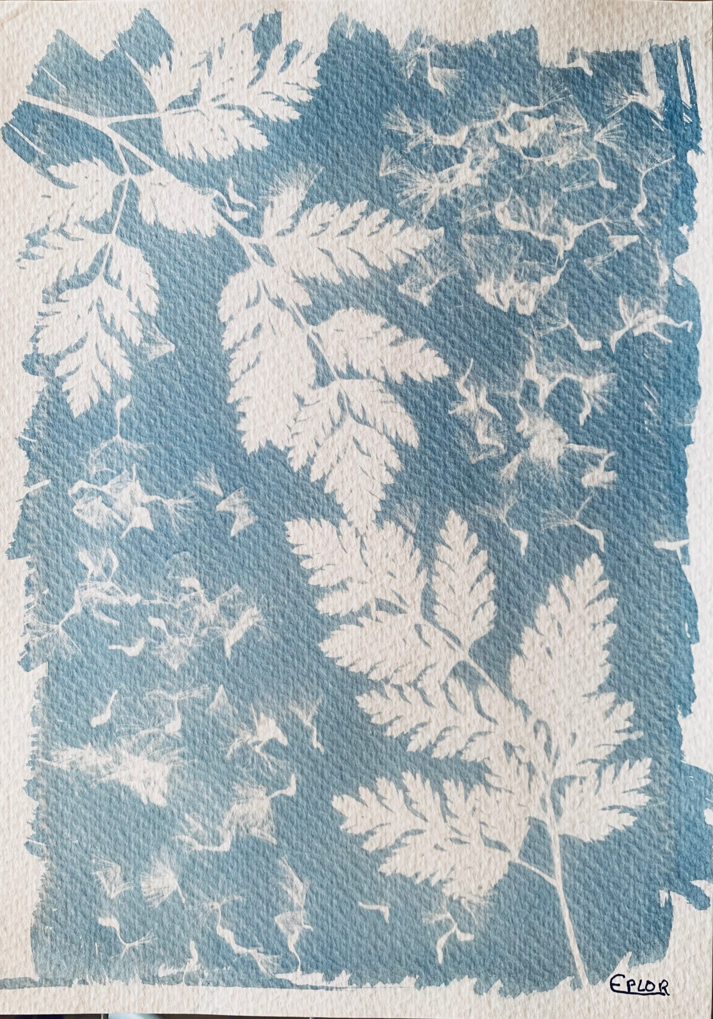 Composição botânica