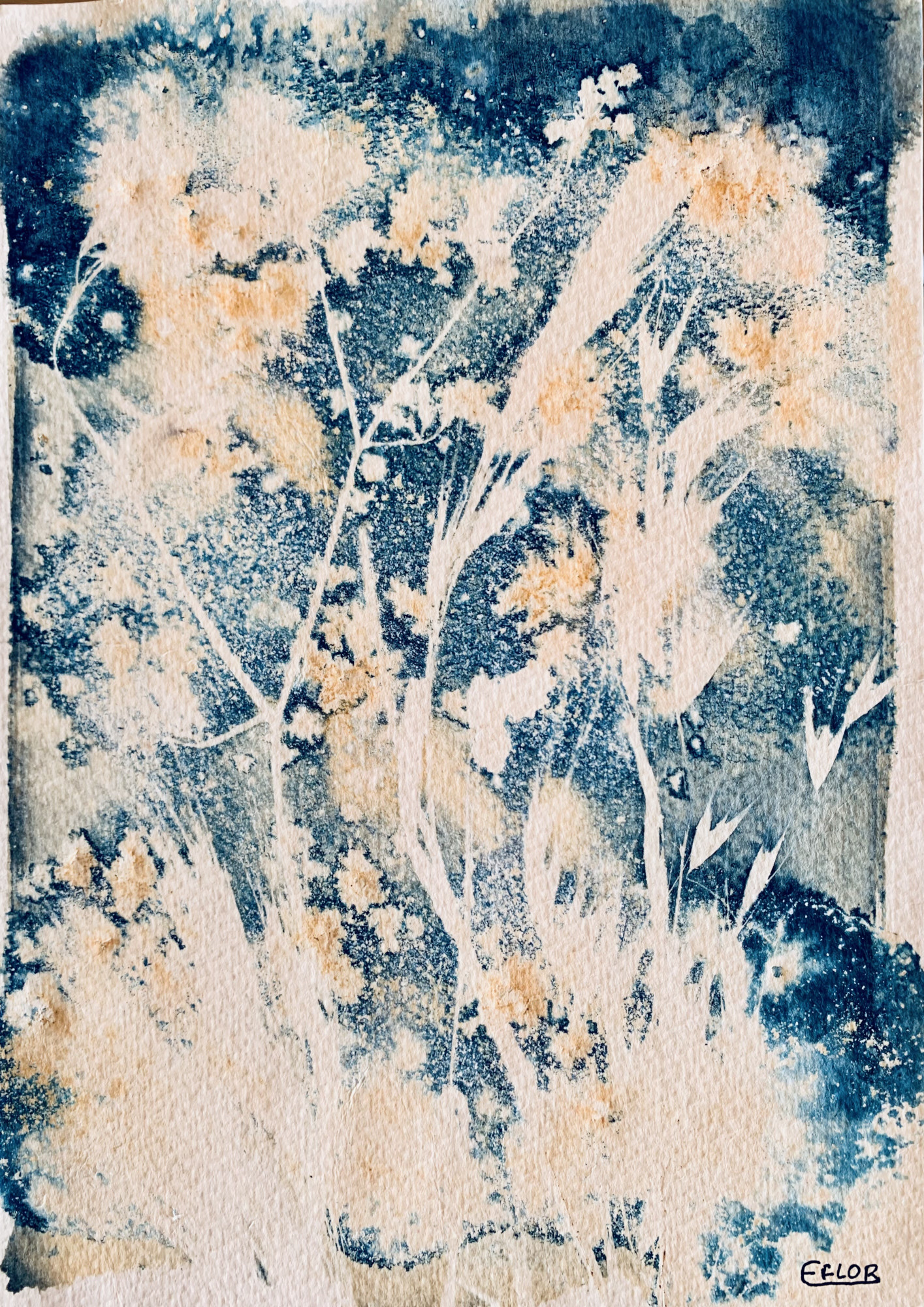 Composição botânica