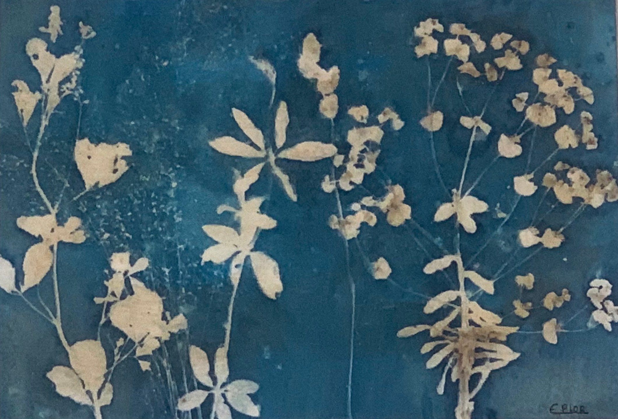 Composição botânica