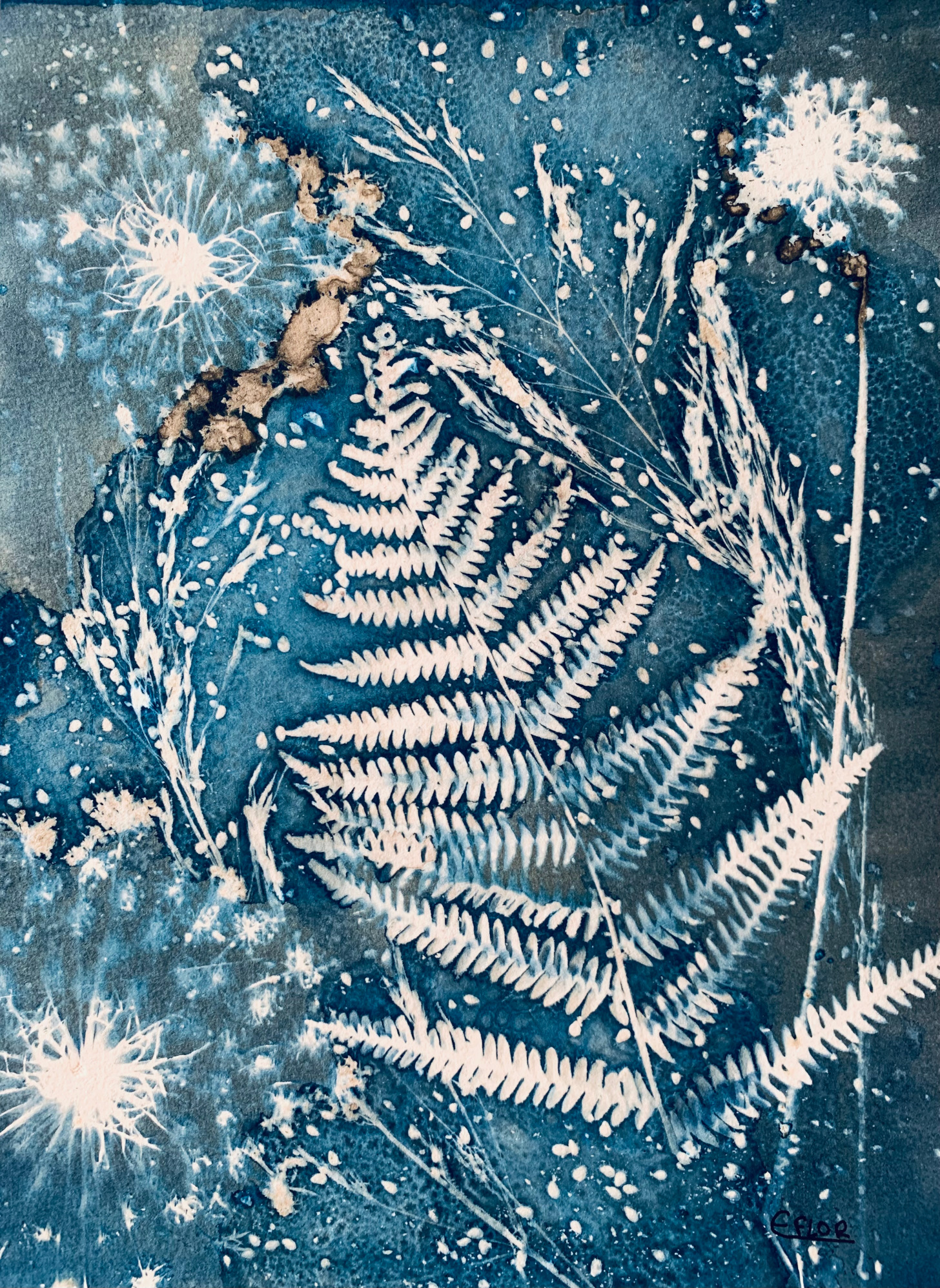 Composição botânica