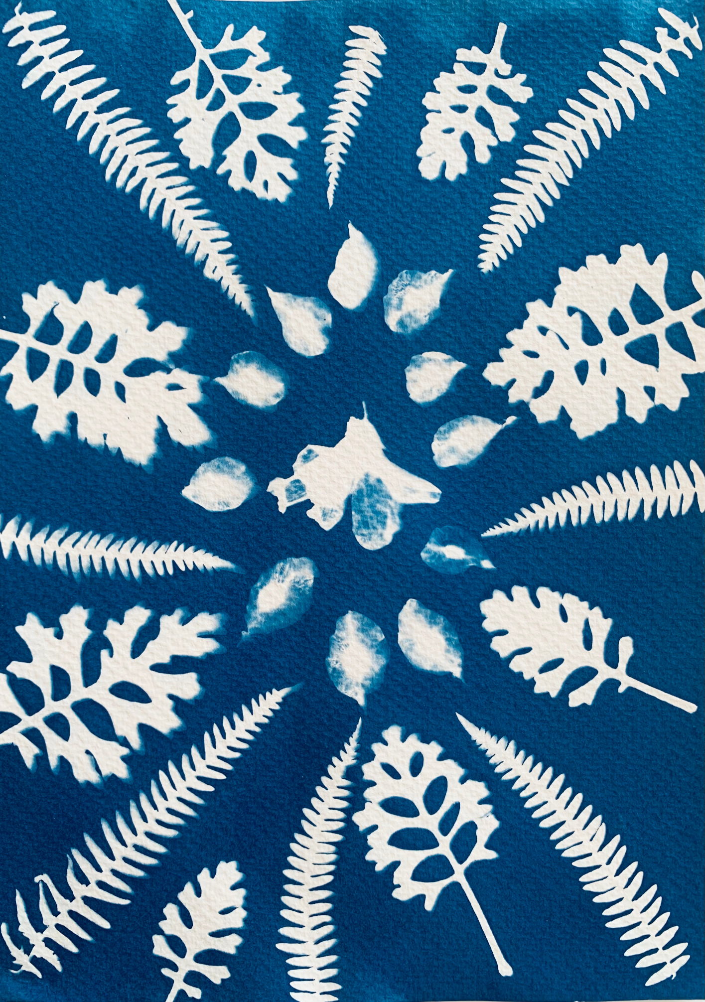 Composição Botânica